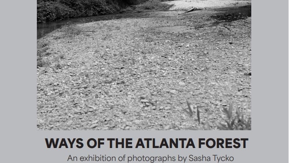 Ways of the Atlanta Forest