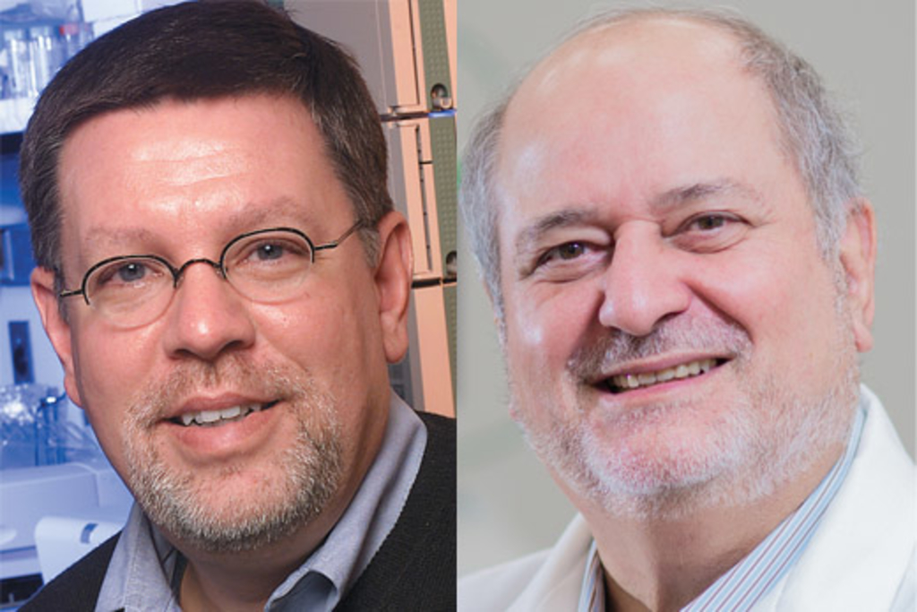 Emory researchers elected to the American Association for the Advancement of Science