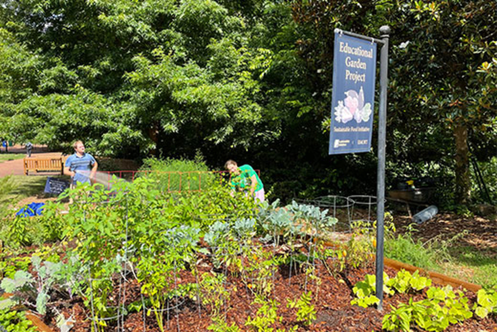 Campus gardens feed, educate and nourish the Emory community