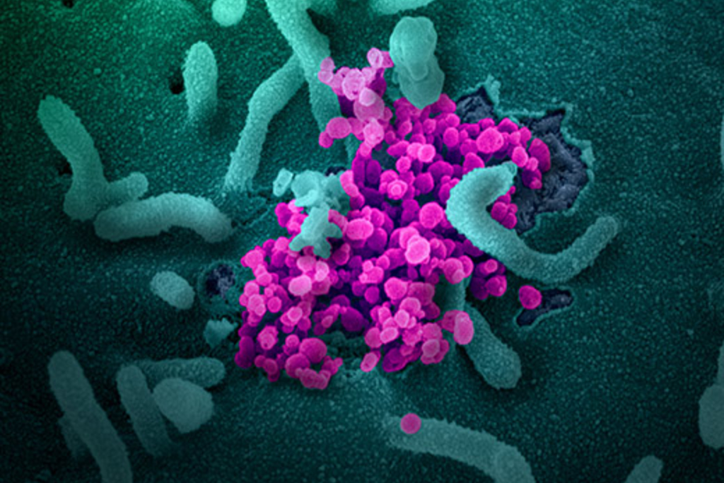 Emory begins advanced stage clinical trial for another COVID-19 vaccine