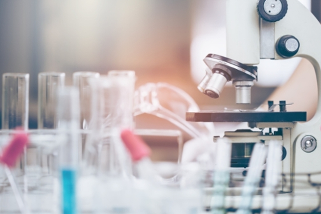 Research roundup: Recent grants and publications for Emory faculty and staff