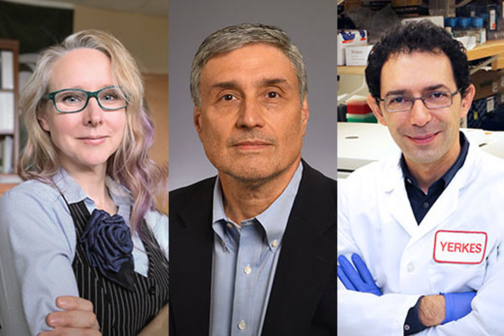 A cure for HIV: Emory receives $23.8 million NIH grant to accelerate research