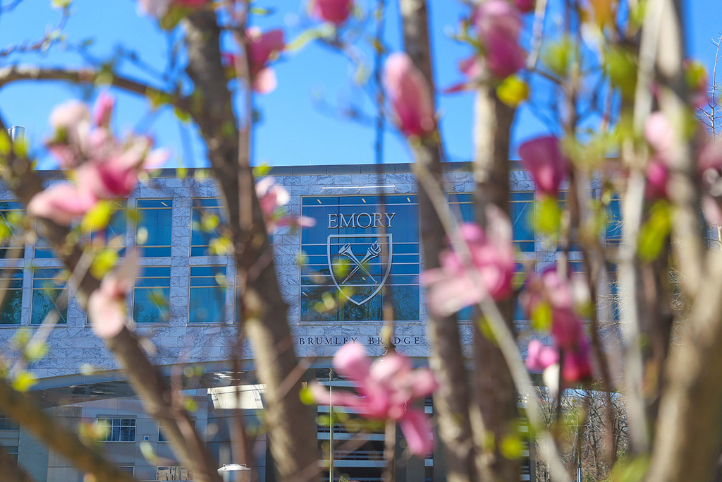 Spring semester brings new faculty, programs and events to Emory : Emory University : Atlanta GA
