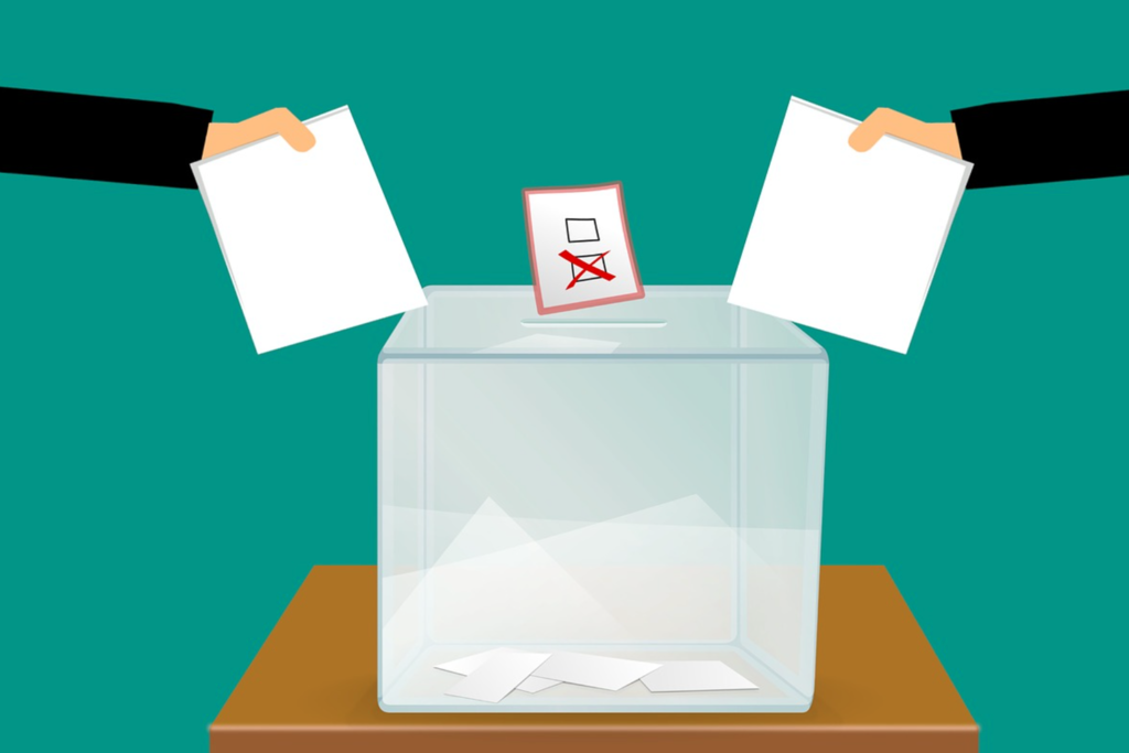 Stegall, ‘no confidence’ advance to runoff in SGA presidential race