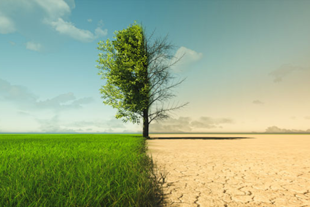Seeking Leaders Before the End of the World