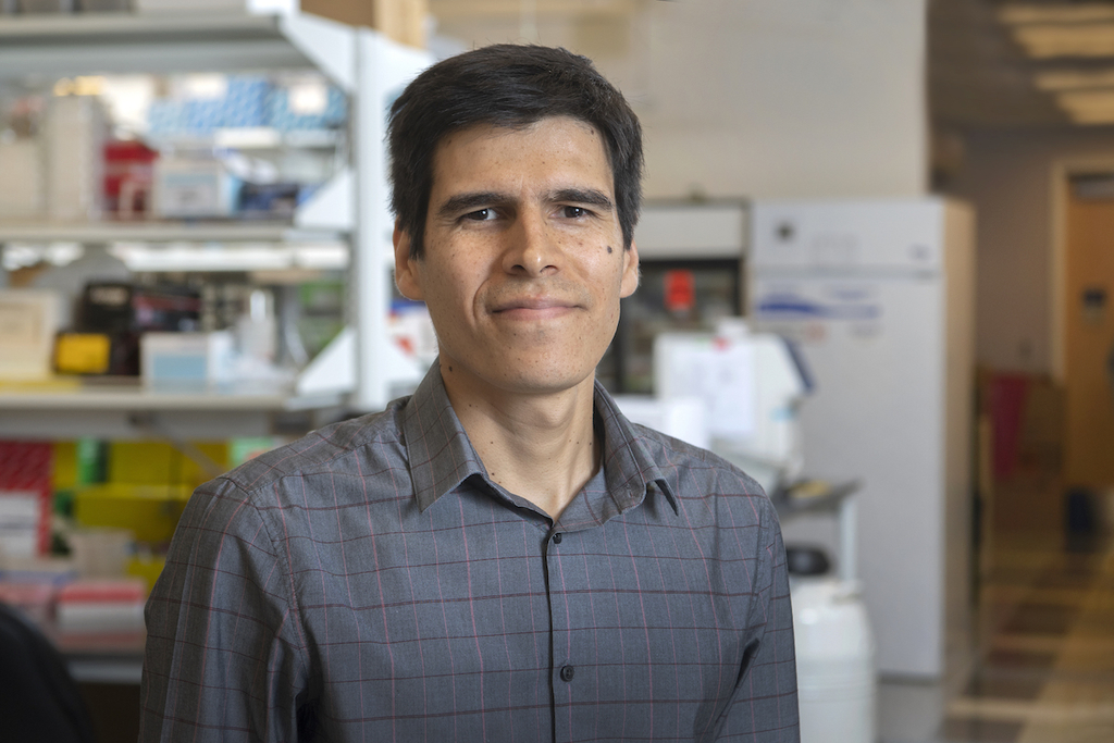 Emory faculty member receives NIH New Innovator Award for ‘lava lamp’ sensors to illuminate brain degeneration